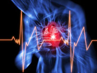 Is the &ldquo;scoop and run&rdquo; mentality killing our cardiac arrest patients?